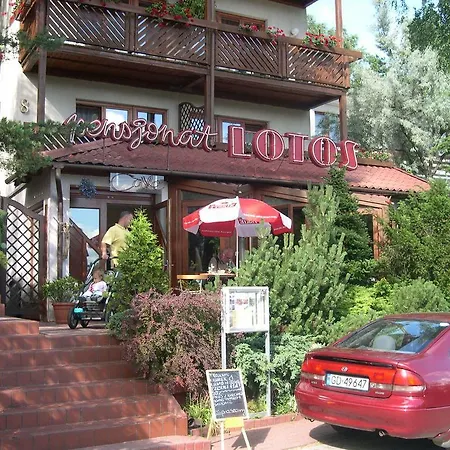 Affittacamere Lotos Krynica Morska